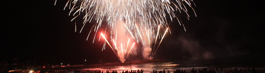 さがらサンビーチ花火大会